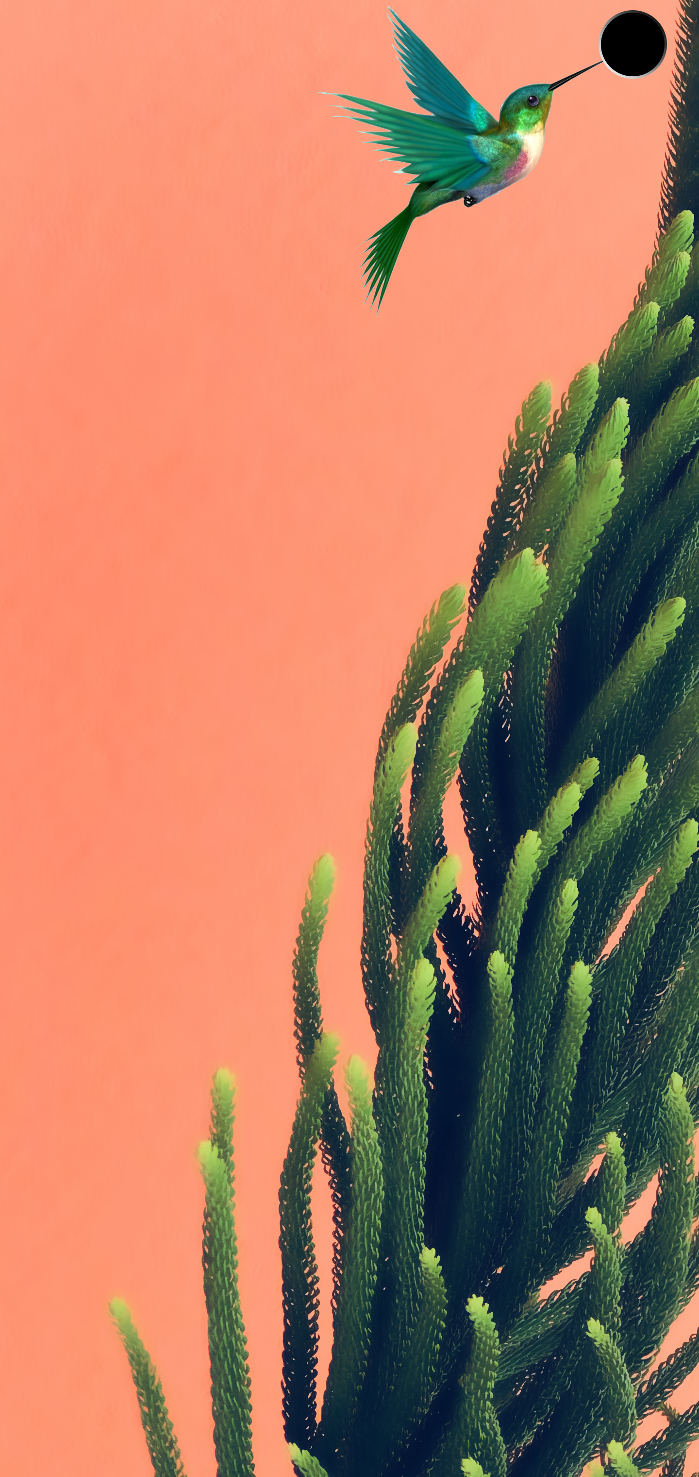 1440x3040   Samsung S10 Обои - Tech \ U0026 All