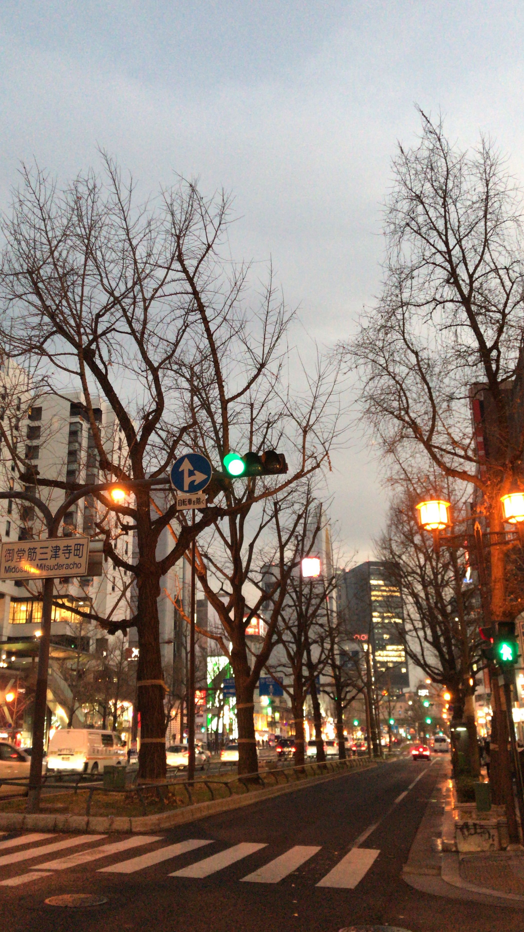 2095x3724  mobile Телефон Обои Осака Япония Изображения бесплатно скачать бесплатно на LovePik | 400706164