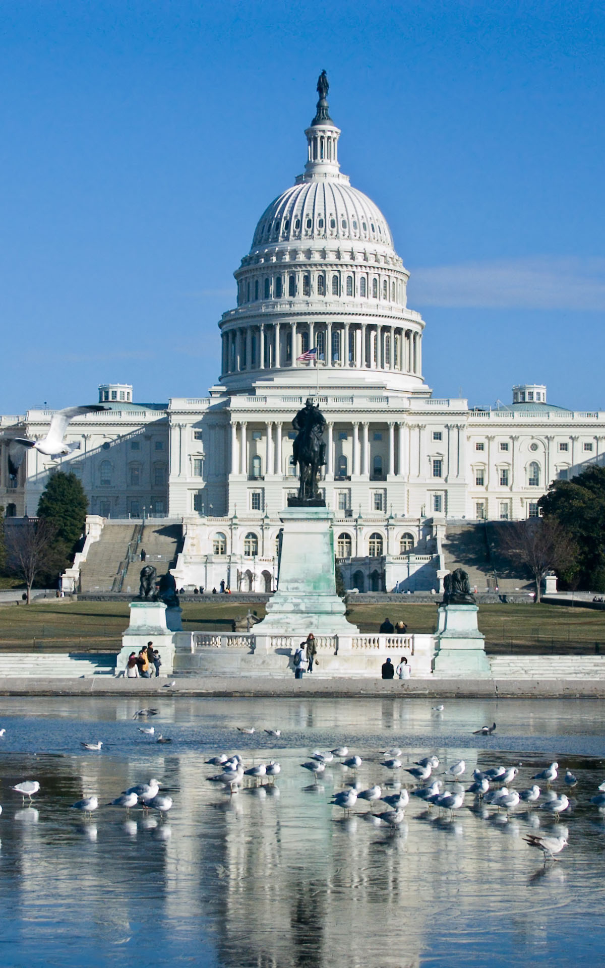 Washington dc capital. Капитолийский холм в Вашингтоне. Капитолийский холм в Вашингтоне, штат Колумбия. Капитоль США. Вашингтон столица США.