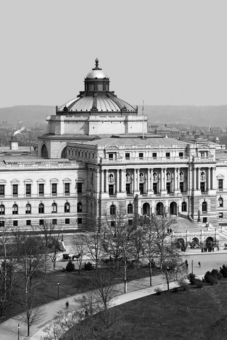 735x1102  Washington DC Cherry Blossom Ultra HD Desktop Background Wallpaper for 4K  UHD TV : Widescreen \u0026 UltraWide Desktop \u0026 Laptop : Планшет: смартфон 