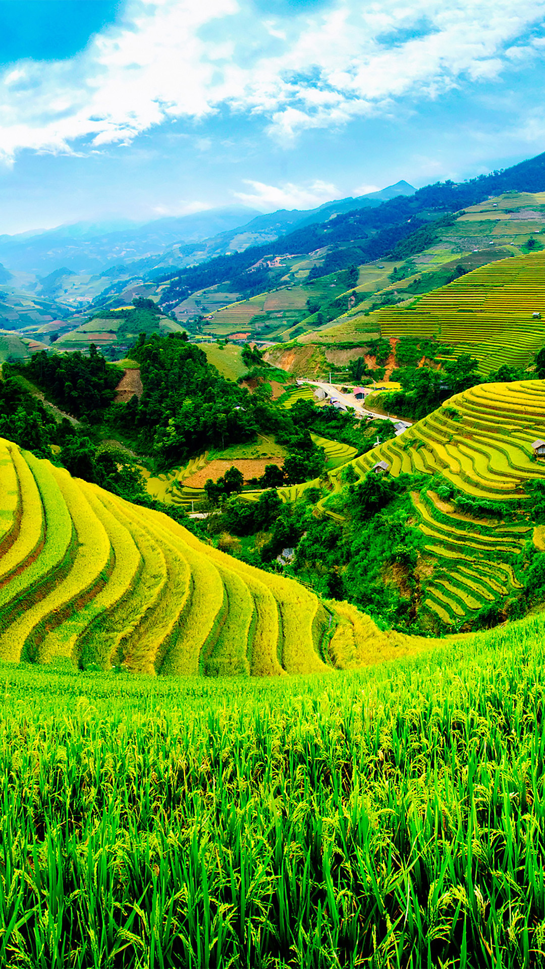 1080x1920  Vietnam Farms Nature Iphone обои - обои для iPhone: обои для iPhone 
