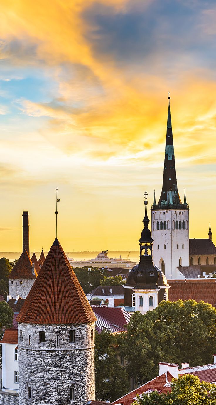 736x1377  old Town of Tallinn 1080p, 2K, 4K, 5K HD Обои Скачать бесплатно | Обои Flare
