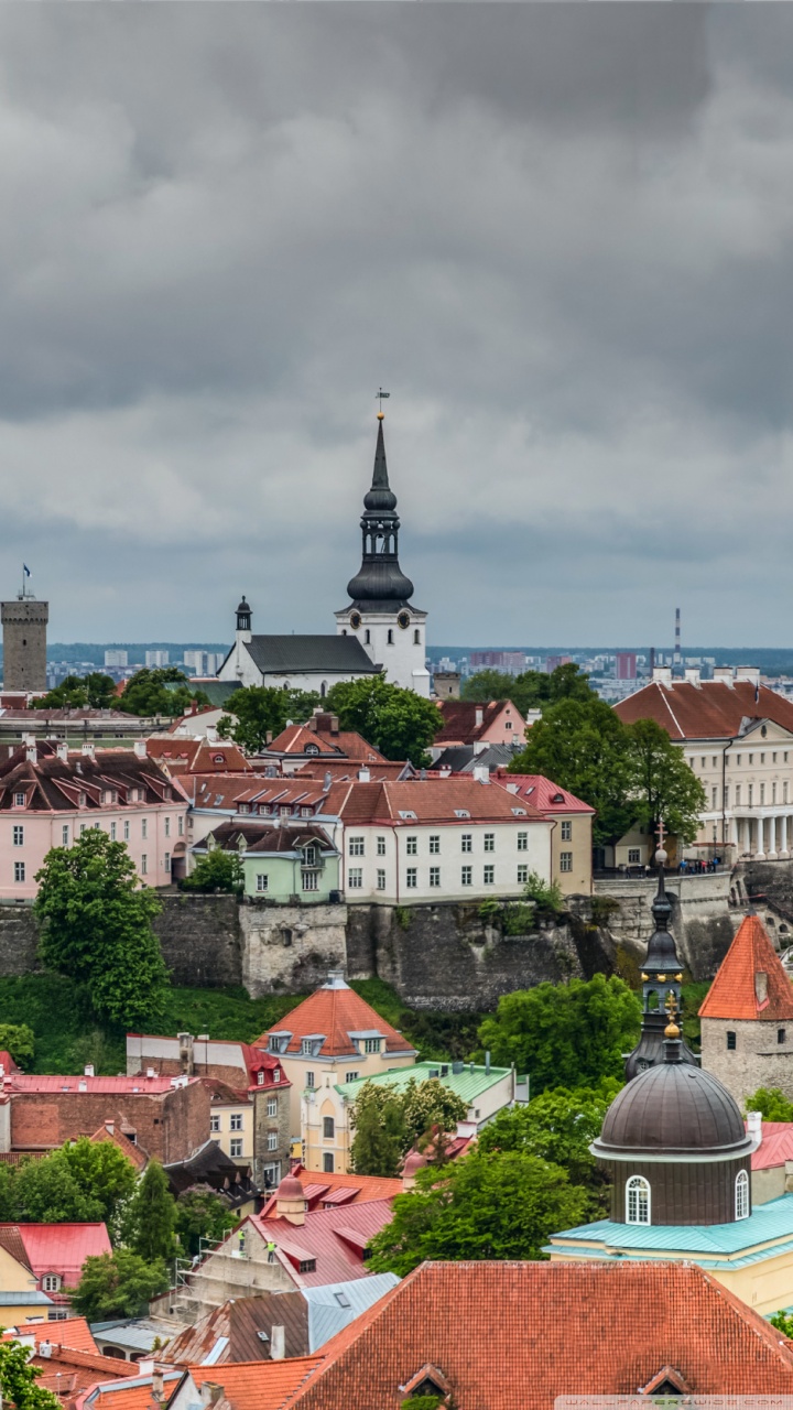 720x1280  view средневековых башен, Святой Святой Олавский причал и круизные лайнеры на расстоянии от стены Верхнего Старого города, Таллинн, Эстония Стоковая Фото - Алами -Алами -Бесаутская Городские Свет Ультра HD Фоновые обои для: Multi Dual Monitor: Dual Monitor: Городские огни Ultra HD Фоновые обои для: Multi Dual Monitor: Beautiful Lights Lights. Планшет: смартфон 