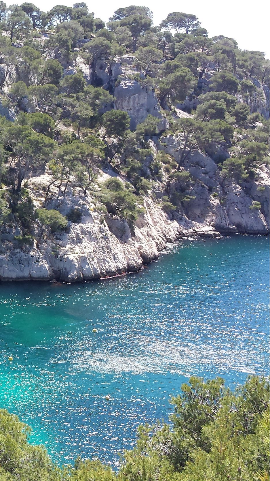 938x1668  best Marseille iPhone HD обои - ilikewallpaper