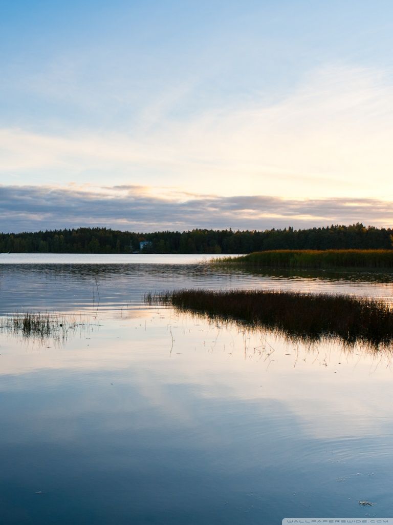 768x1024  Konttainen Fell обои 4K, Финляндия, холм, зима, снежные деревья, покрытые снегом, природа, #3836 