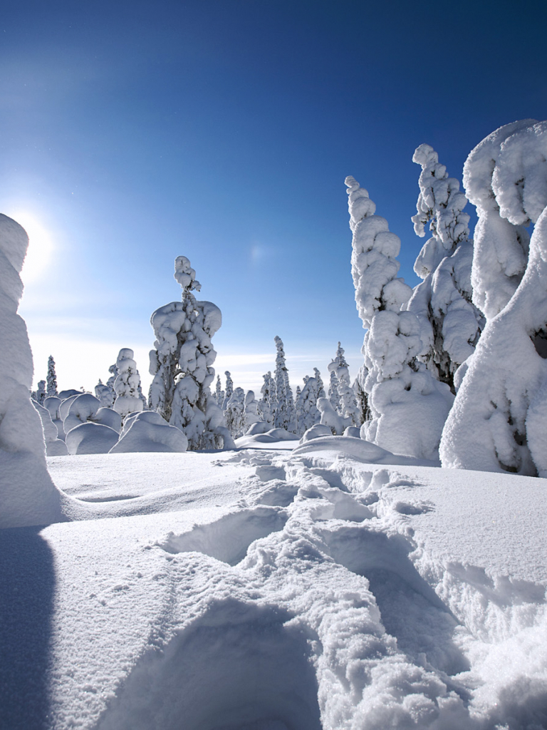 768x1024  purple Northern Lights Wallpapers на обои. Скачать бесплатные изображения на обои unsplash