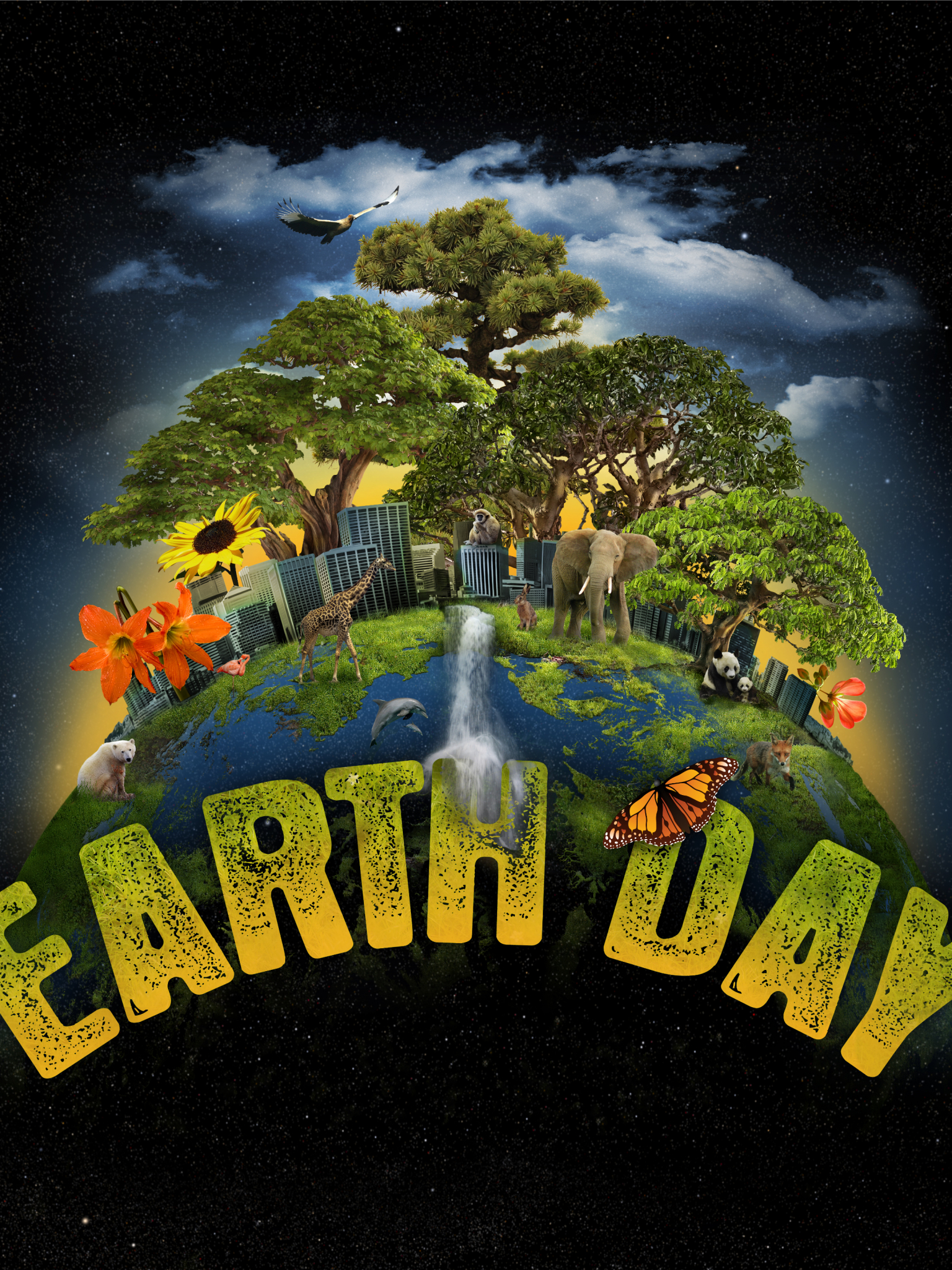 1536x2048  HD Happy Earth Day обои | PEACKPX