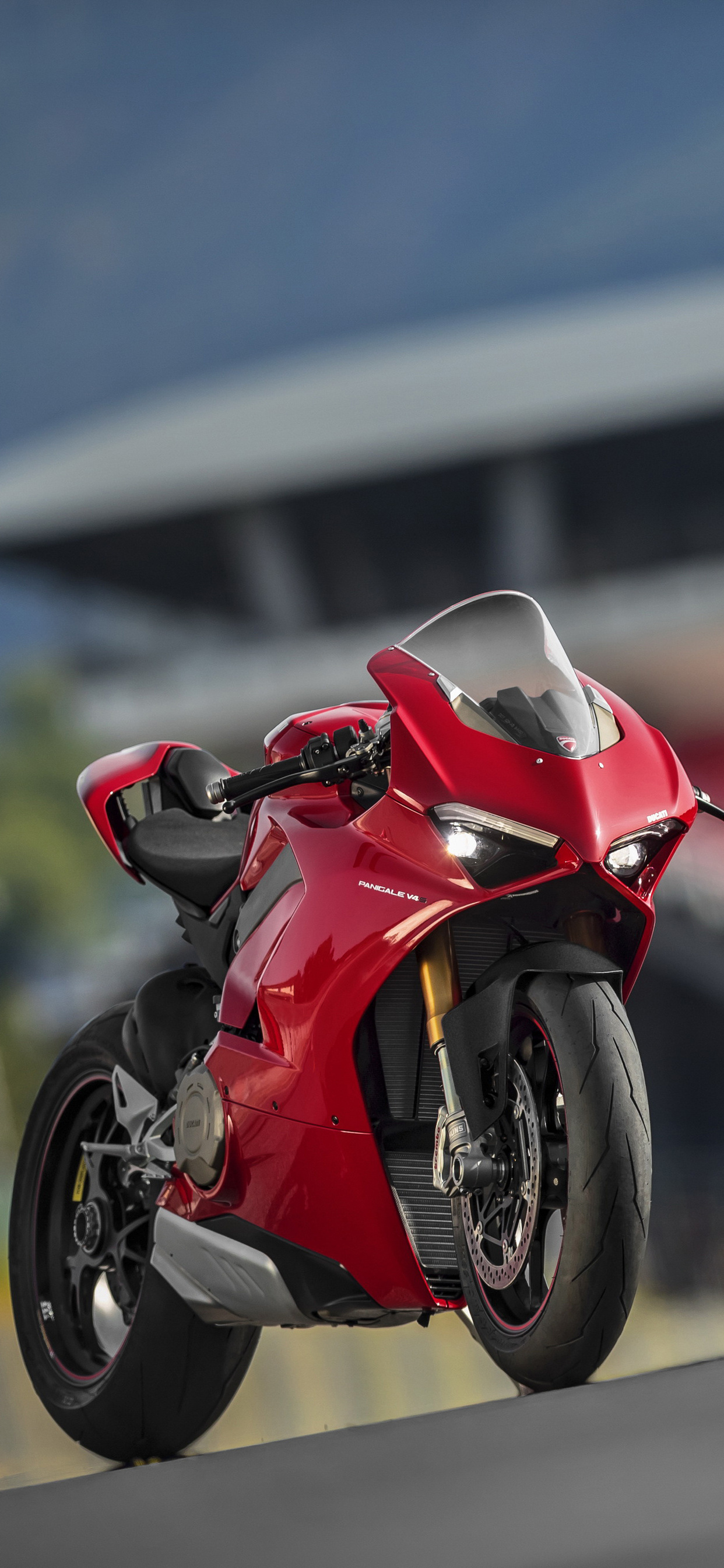 1242x2688  ducati 1299 Panigale R Финальное издание 4K Ultra HD Мобильные обои | Ducati 1299 Panigale, Ducati, Ducati Superbike