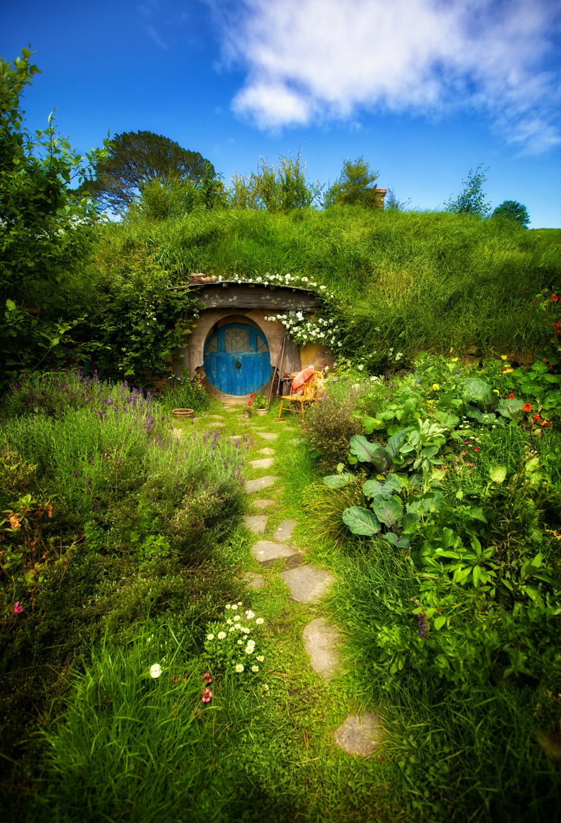 1090x1600   HD Hobbit Hole Walpapers | PEACKPX