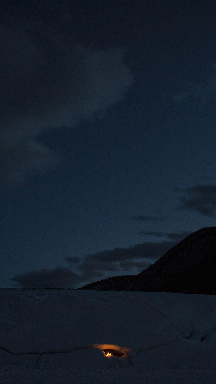 750x1334  Best The revenant iPhone HD Wallpapers - iLikeWallpaper