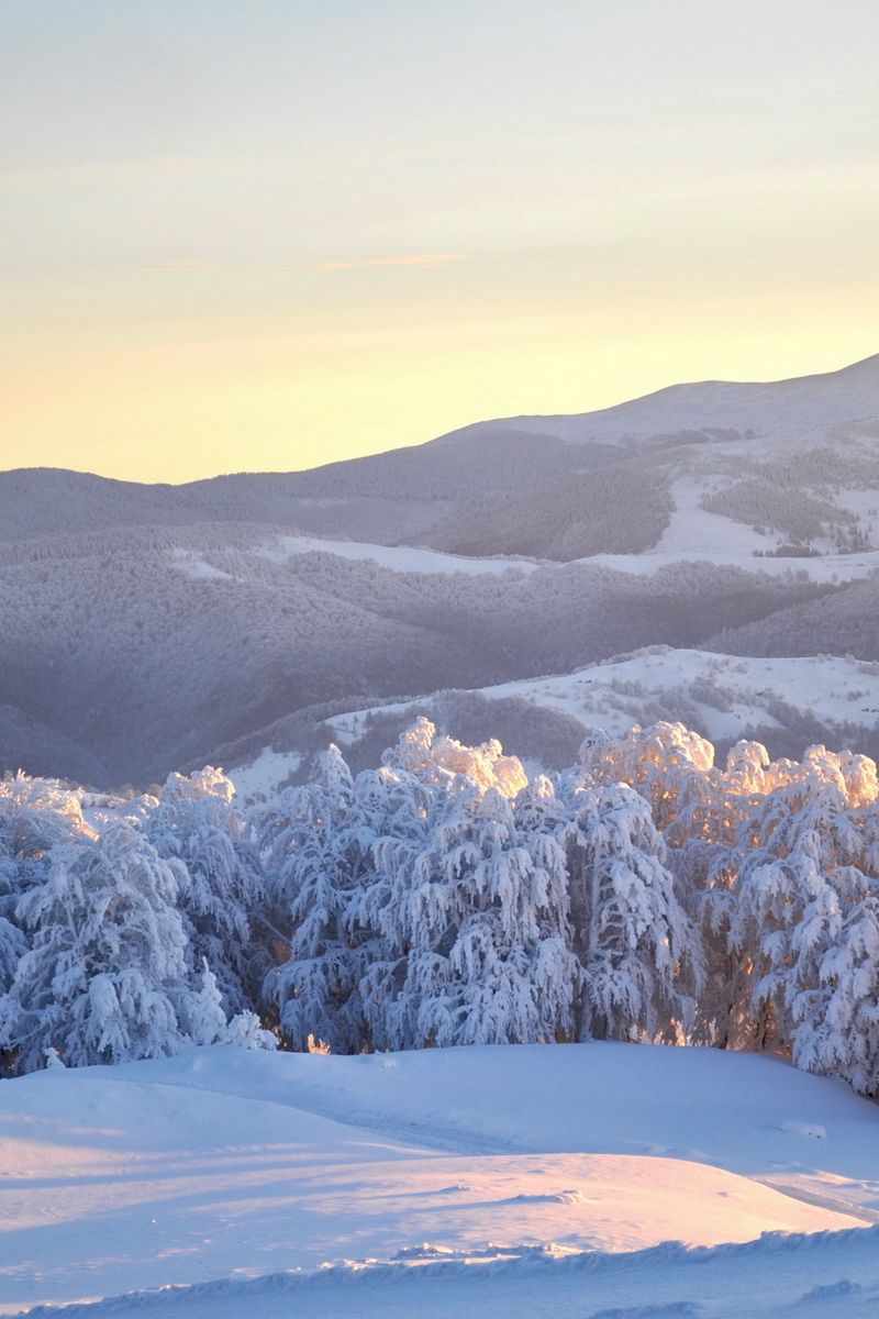 800x1200  Carpathian горы Pactive | Скачать бесплатные изображения на unsplash