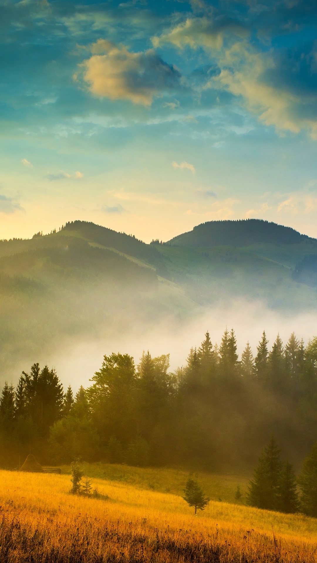 1080x1920  snow, Карпатские горы, горные стиг, деревья, Украина, Зима, Svidovets, R… | Маунты iPhone обои, снежные обои iPhone, обои iPhone Рождество 