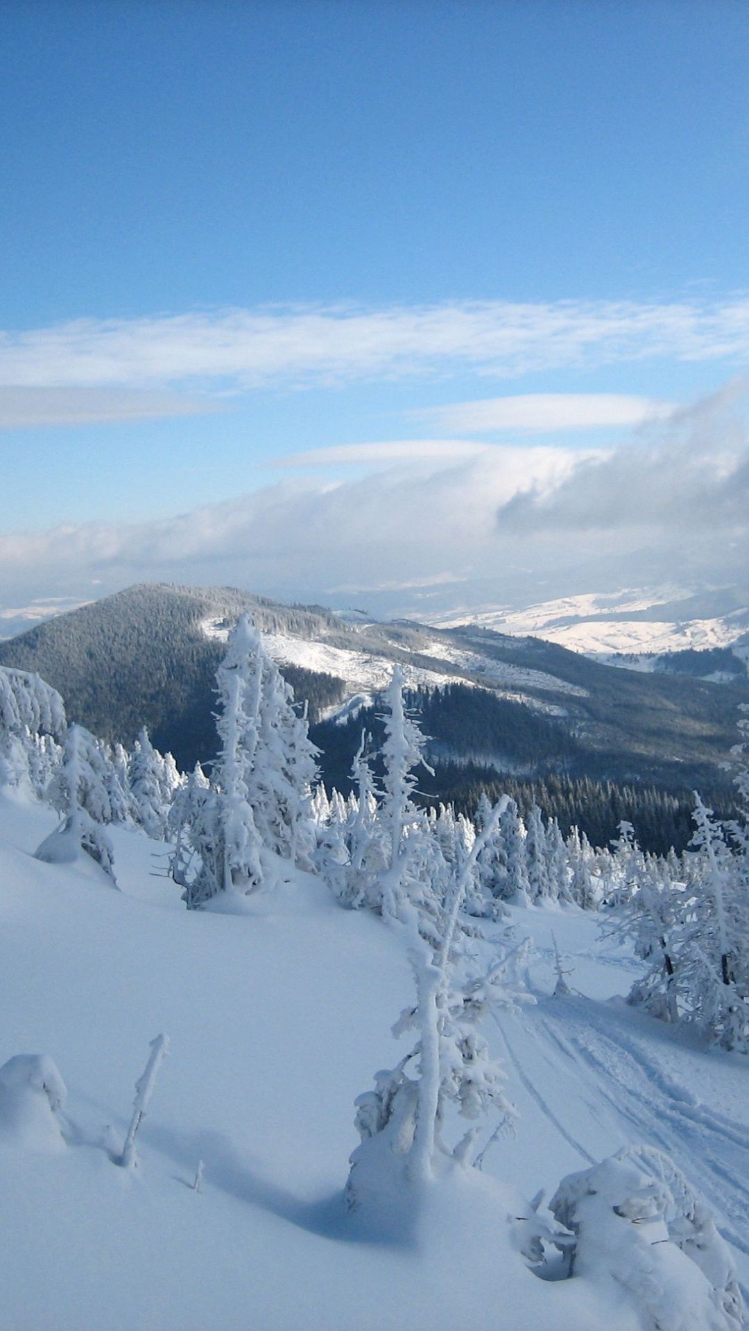 1080x1920  __premium Photo | Летний пейзаж в Карпатских горах с облачным небом. Carpathian, Украина, Европа .