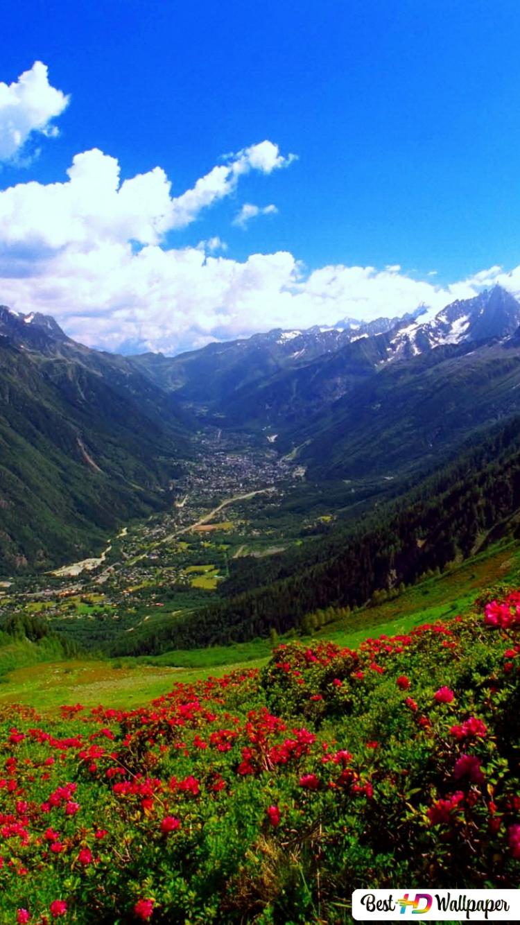 750x1334  Hi Res Version Of Vigo The Carpathian Painting In Ghostbusters - High  Resolution Vigo The Carpathian - 3600x5760 Wallpaper - teahub.io