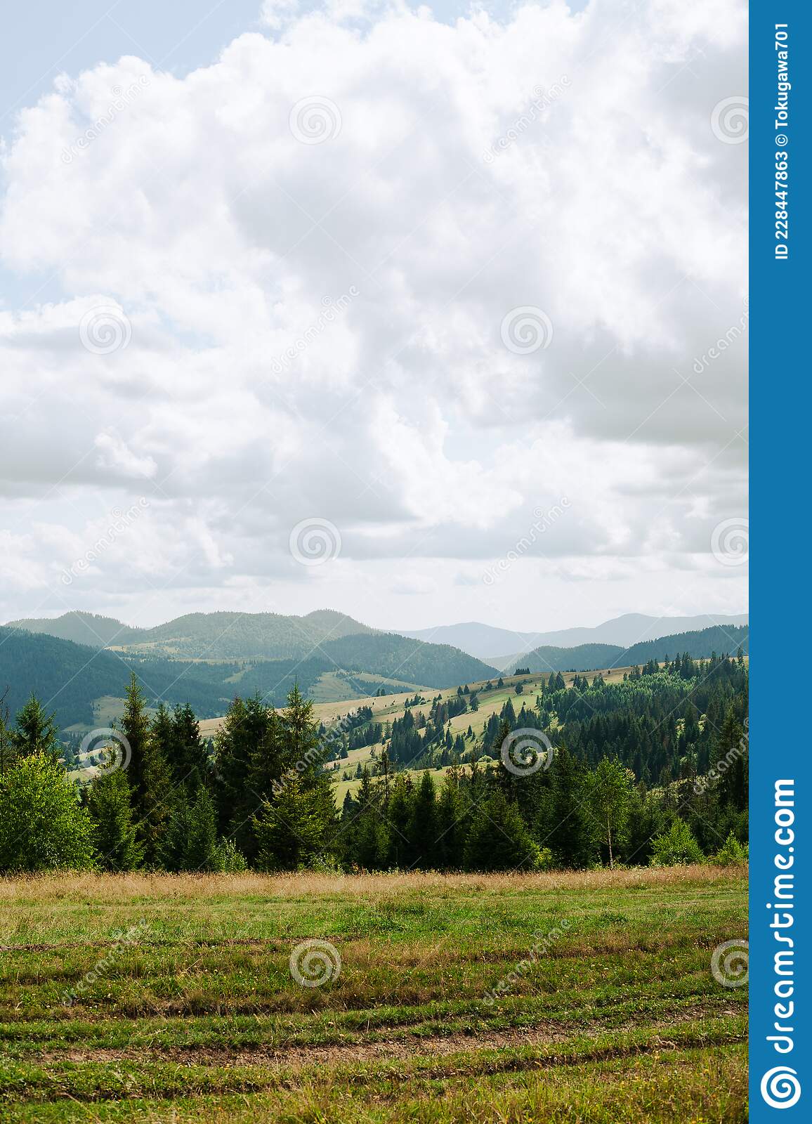 1156x1600  Carpathian Village and mountains Stock Photo by © Goinyk 153728770