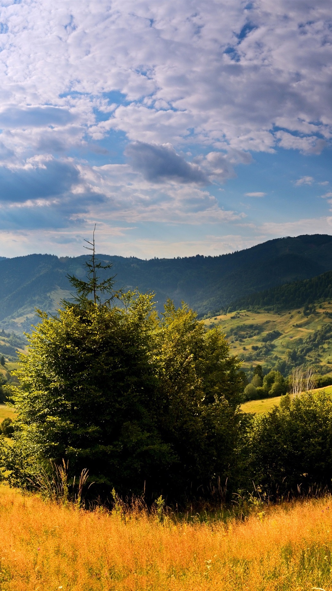 1080x1920  https: //www.freepik.com/free-photos-vectors/carpathian-mummers/3