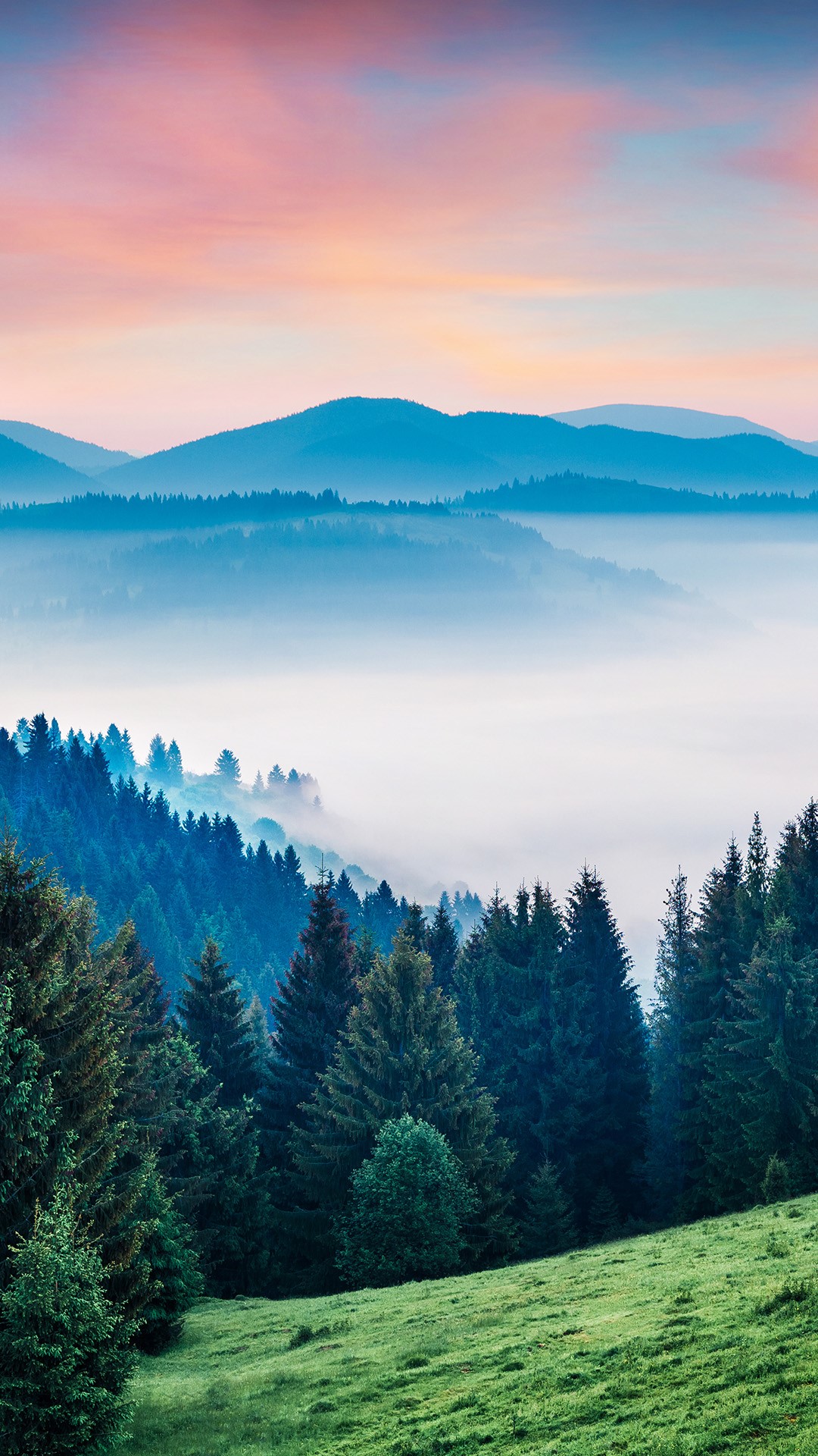 1080x1920   68+ лучших бесплатных карпатских стоковых фотографий \ U0026 Изображения · 100% загрузки без роялти. | ПикпксЦветы Карпатские горы Украина высокое разрешение stock photography и изображения - Alamy