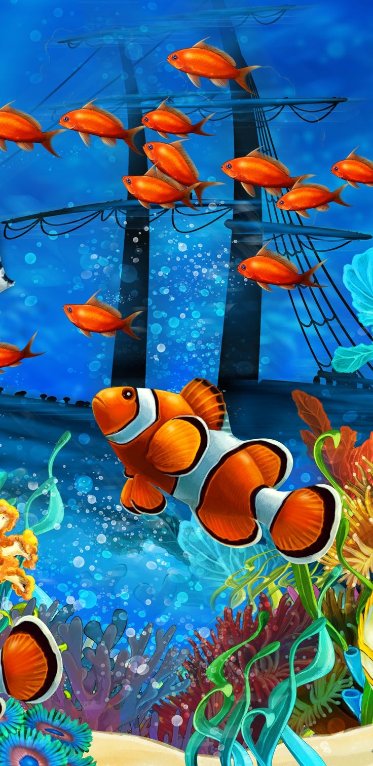 736x1512  hd Fish Mobile обои для Android - APK скачать 