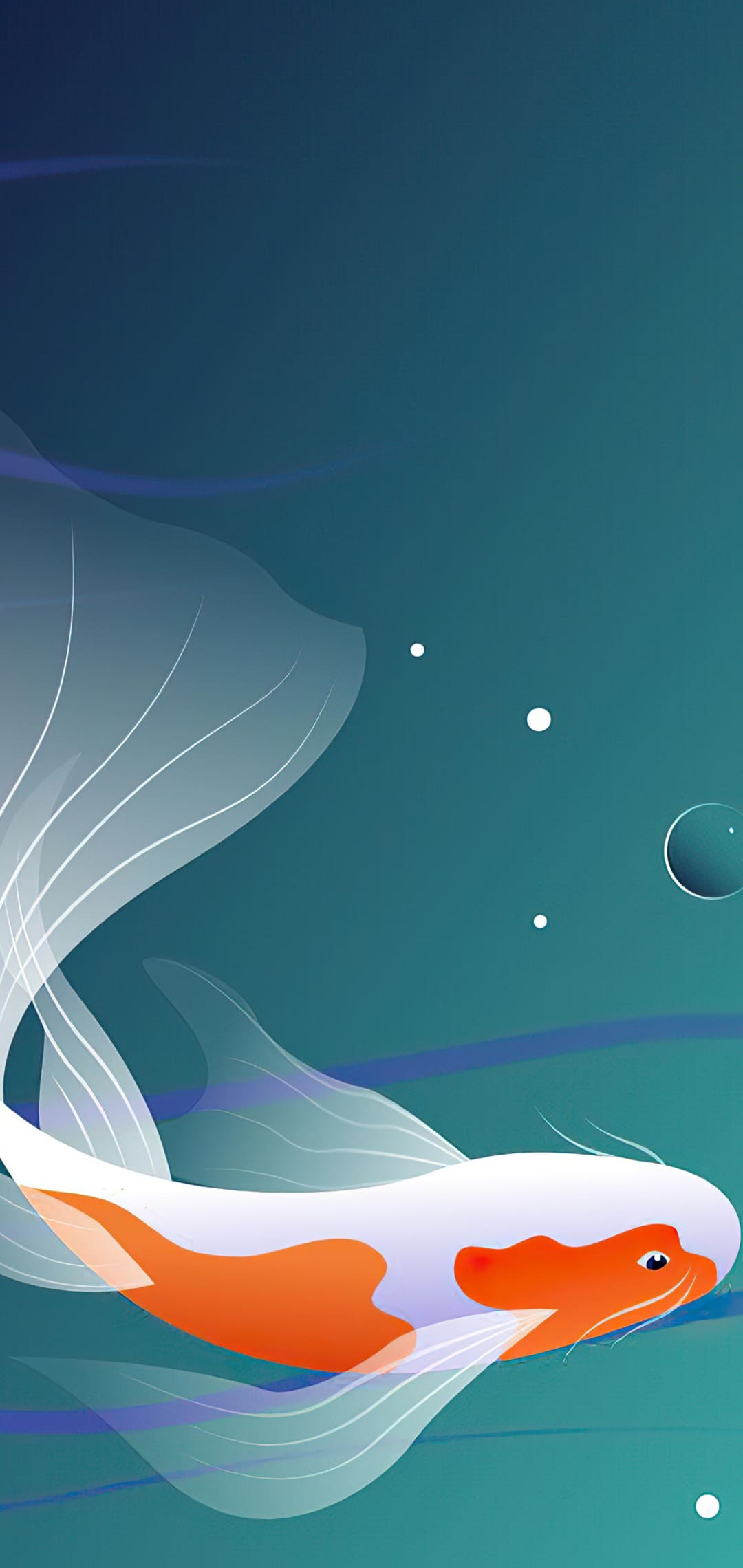 1080x2280   Рыбы, синий, рыбный апельсин, красный, HD Телефон Обои | Peakpx