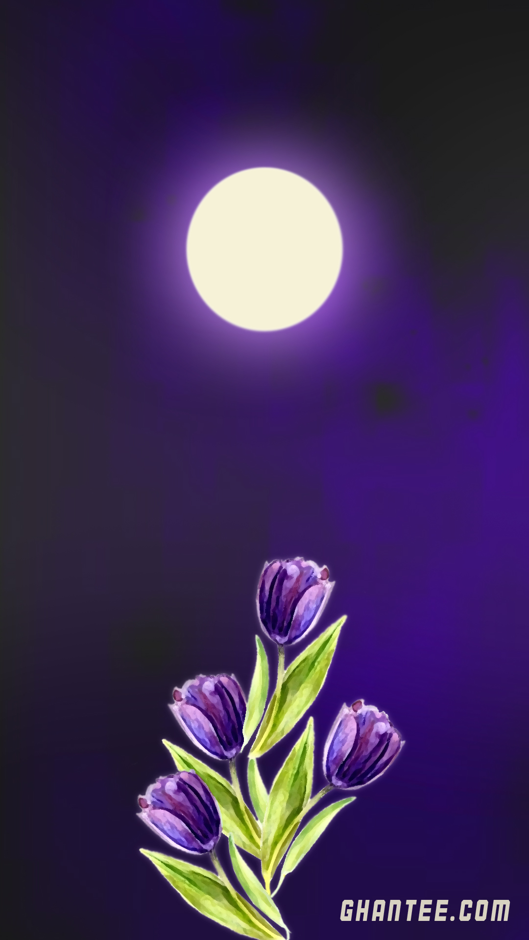 1080x1920  336136 Purple Flower, Nature Phone HD обои, изображения, фоны, фотографии и картинки - Редкая галерея HD Обои 