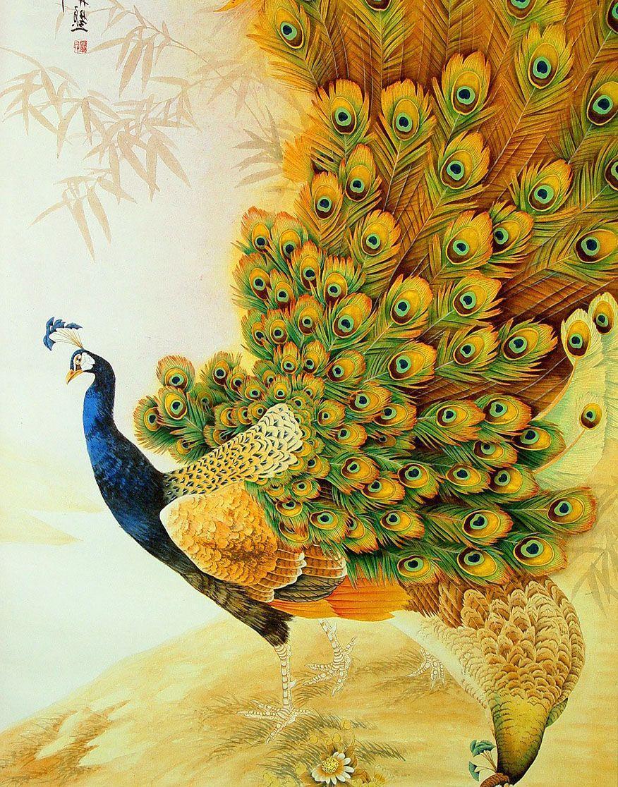 876x1116   मोर वॉलपेपर फोटो डाउनलोड | Peacock Wallpaper HD для мобильного 
