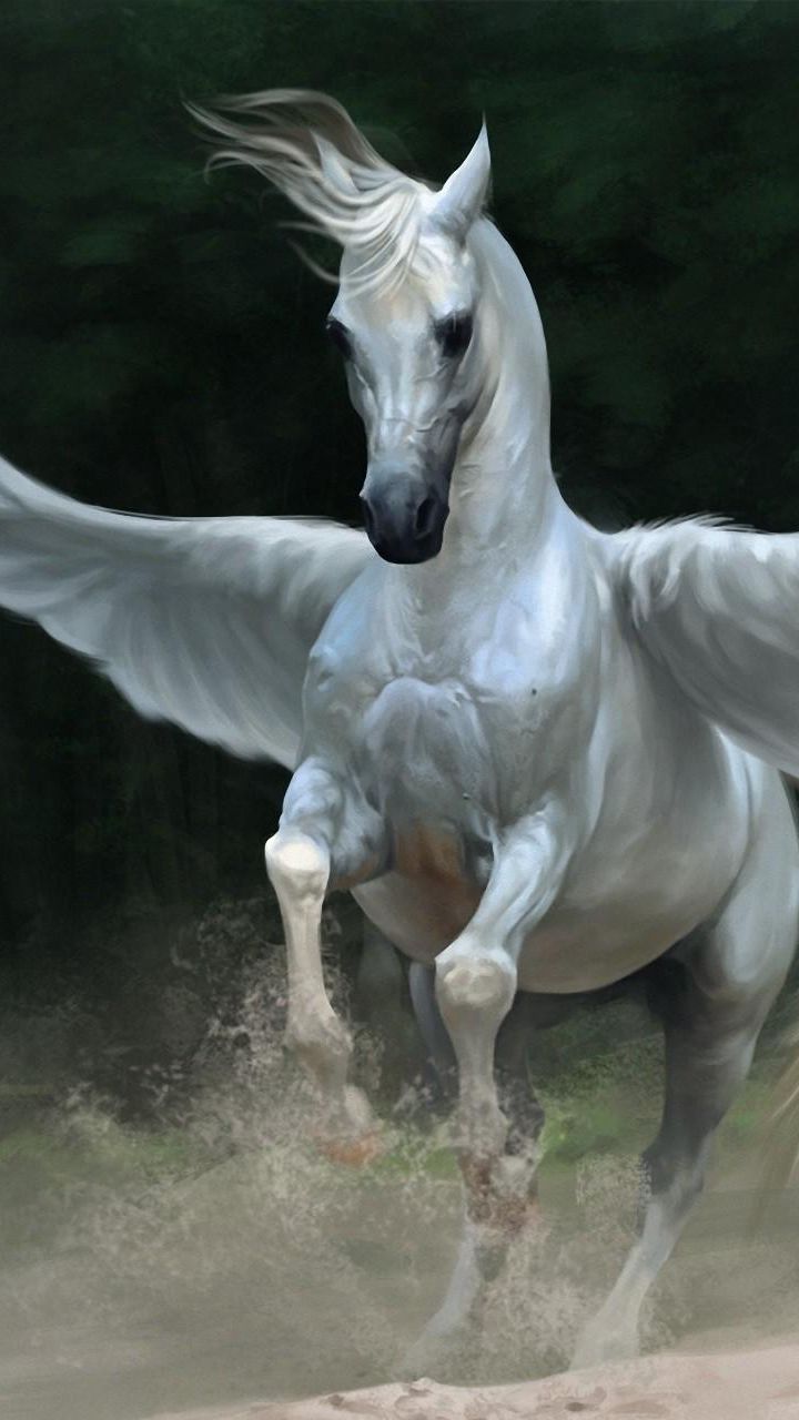 720x1280  pegasus обои от _savanna_ - Загрузить на Zedge ™ | 9d11