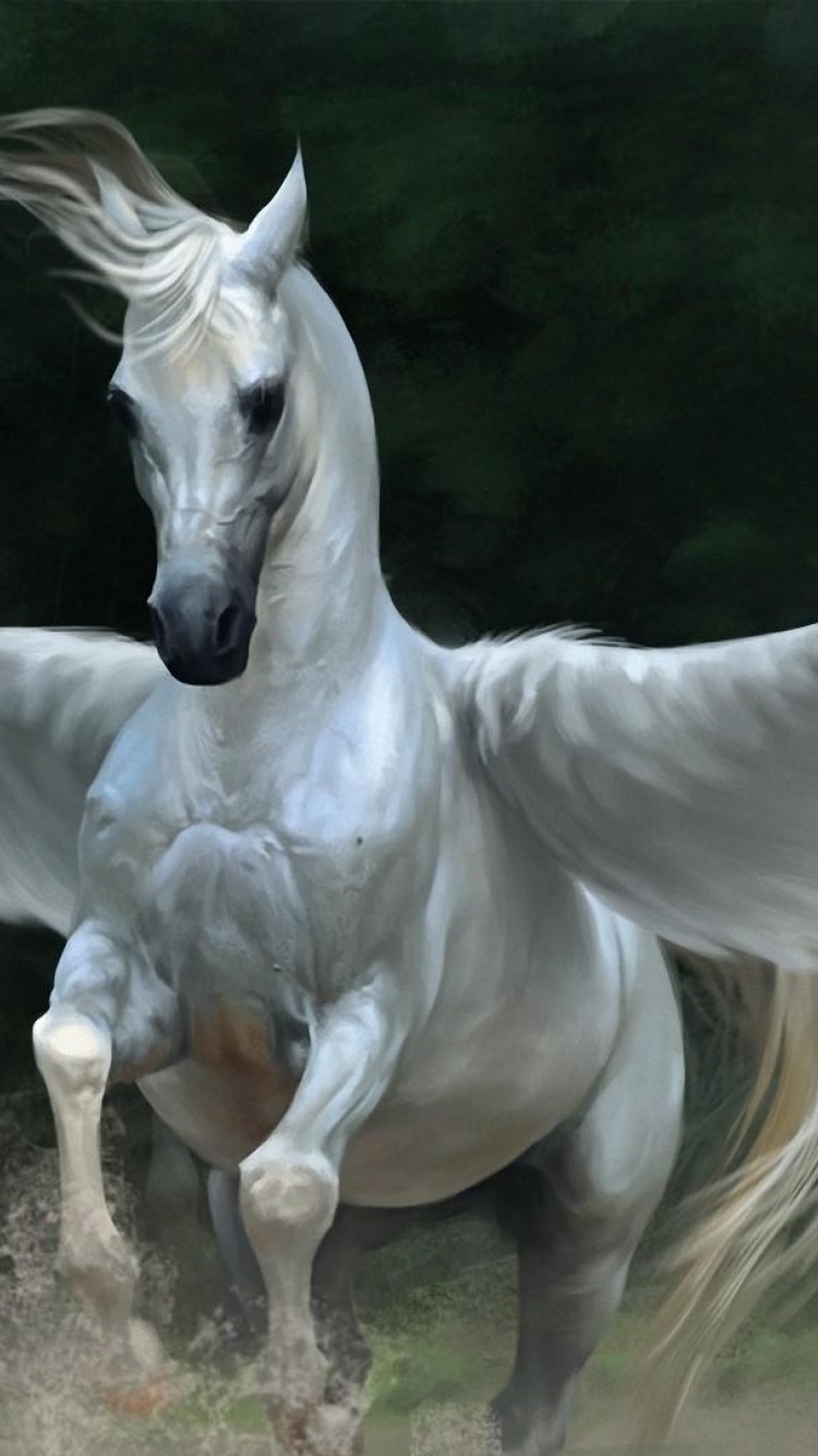 750x1334   Черные обои Pegasus - топ без черных фонов Pegasus - WalpaperAccess