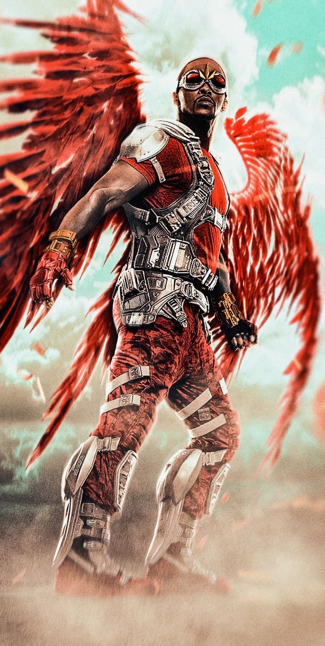 645x1280   Обои, сокол, природа, перья, первые, первые, первые, первые, перья, перья, перья, первые Wings 2560x1600 HD Picture, Image