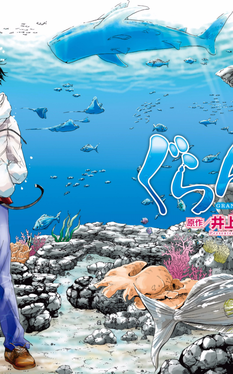 800x1280  kitahara iori - Grand Blue - Zerochan Anime Image Board