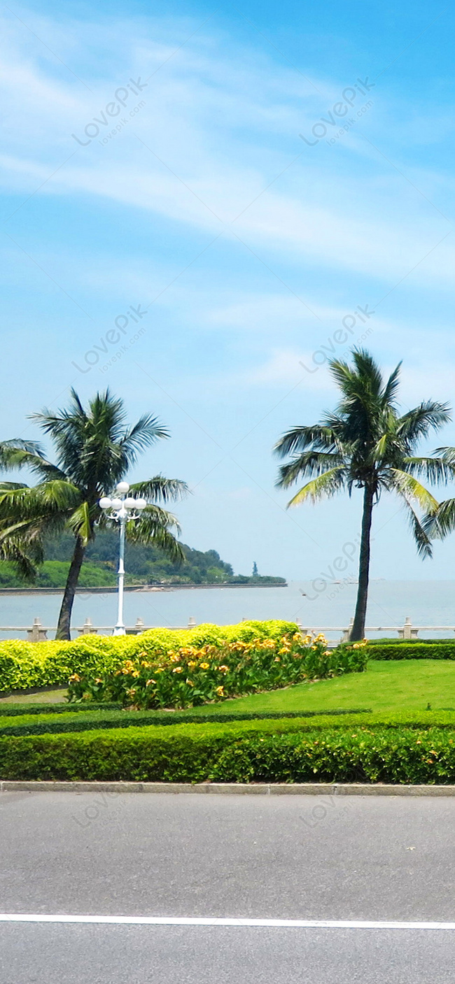 650x1407  free скачать Codm Ghost Retribution Skin 4K Телефон iPhone обои 2740b [2160x3840] для вашего рабочего стола, Mobile \ U0026 Tablet | Изучите 32+ Codm Android обои | Фоны Android, обои для Android, Android обои 