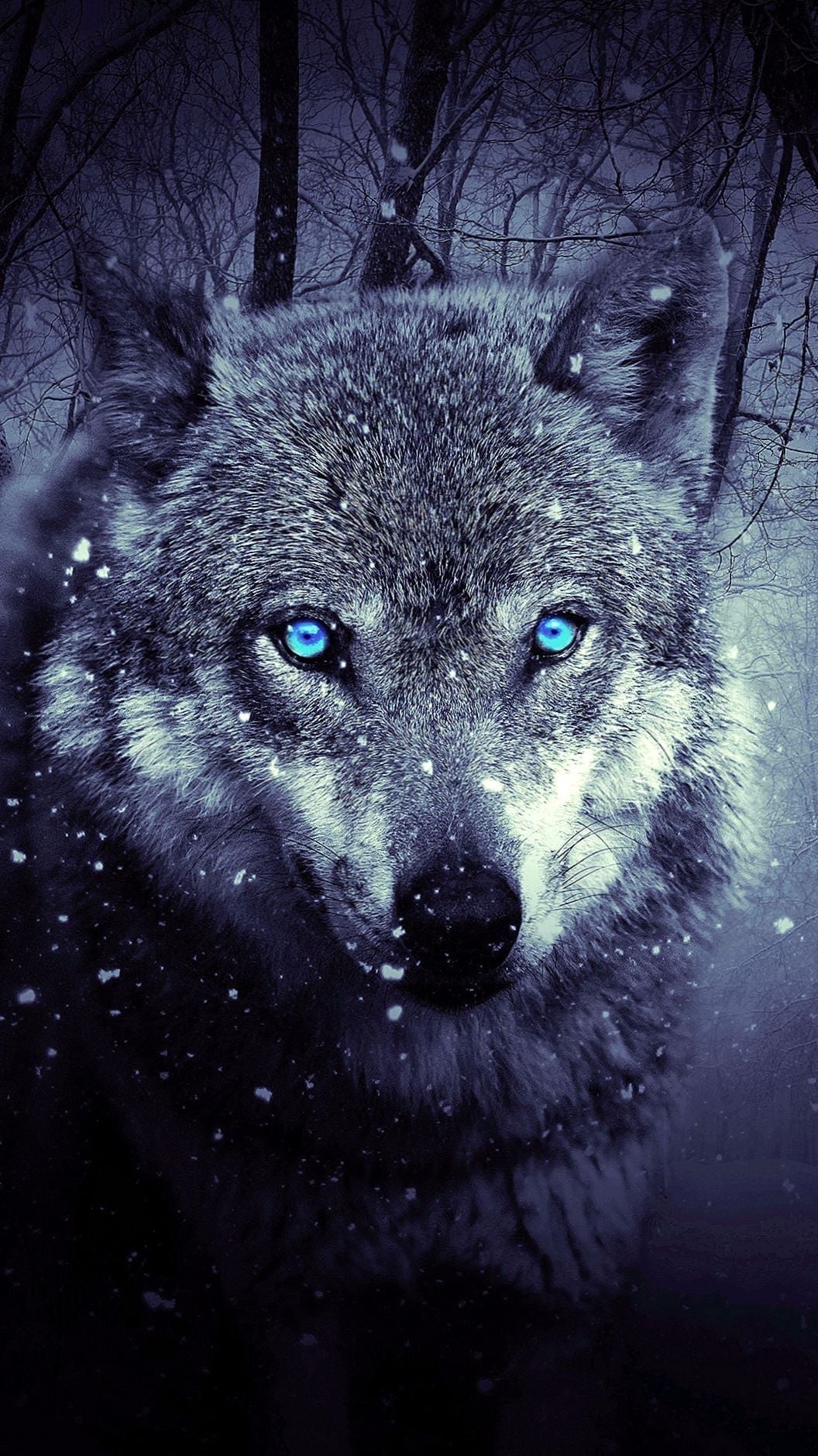 1056x1879 Wolf Blue Eyes Wallpaper - KoLPaPer - Awesome Free HD Wallpapers