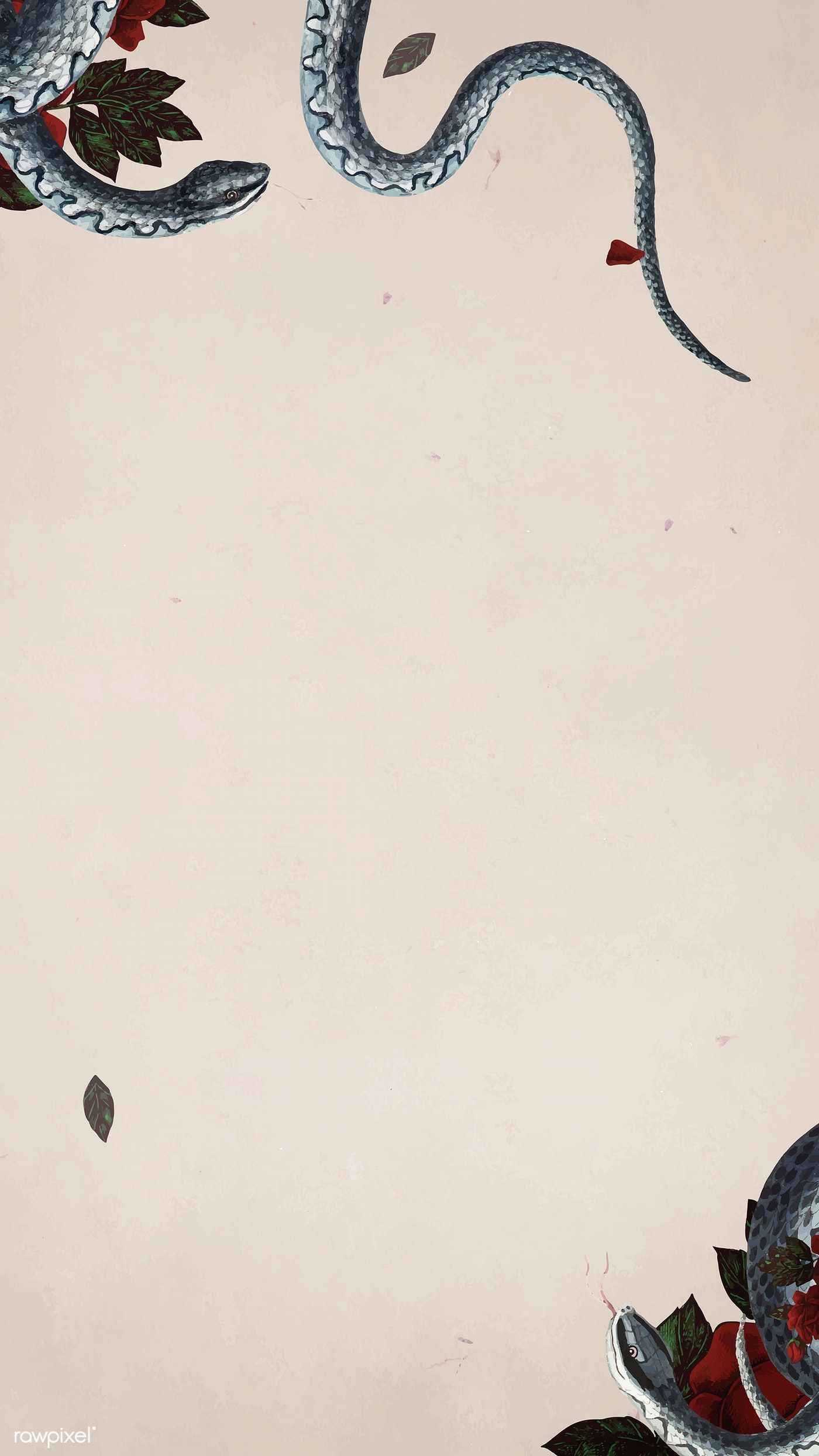 1400x2488  Snake Pictures | Скачать бесплатные изображения на Unsplash