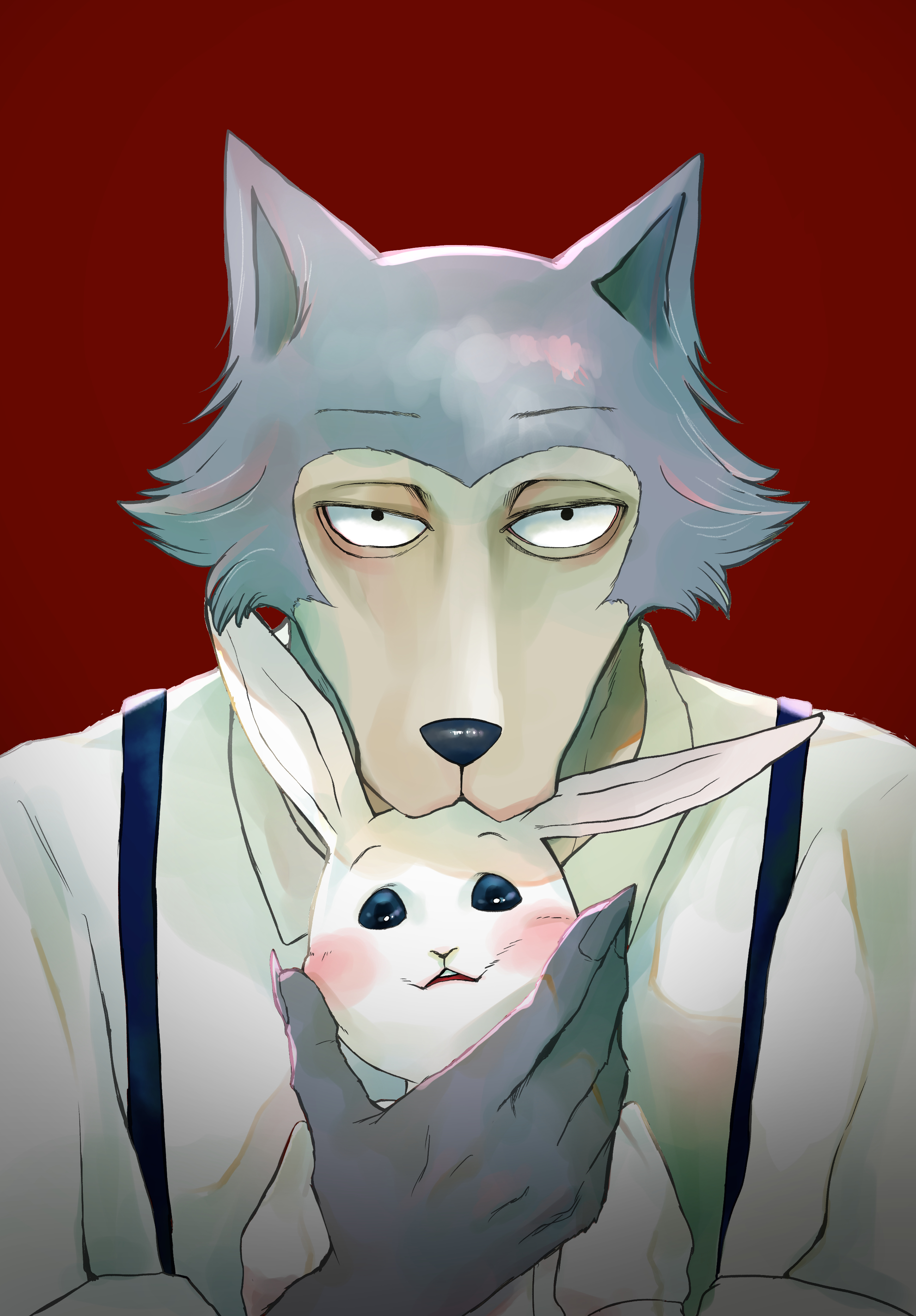 2598x3732  beastars | HD Anime Wallpapers, Anime, Wallpaper