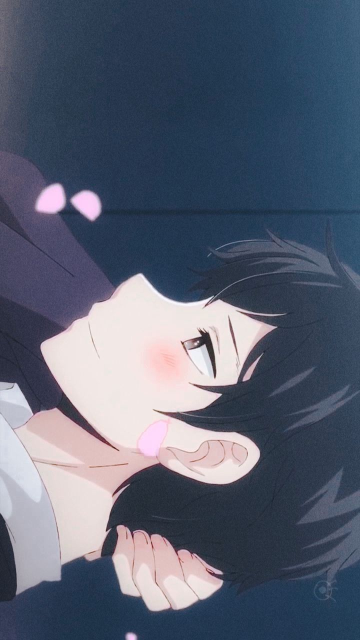 720x1280  1440x2560 Hanabi Yasuraoka Scums желает, чтобы аниме Samsung Galaxy S6, S7, Google Pixel XL, Nexus 6,6p, LG G5 HD 4K обои, изображения, фоновые фотографии и картинки 