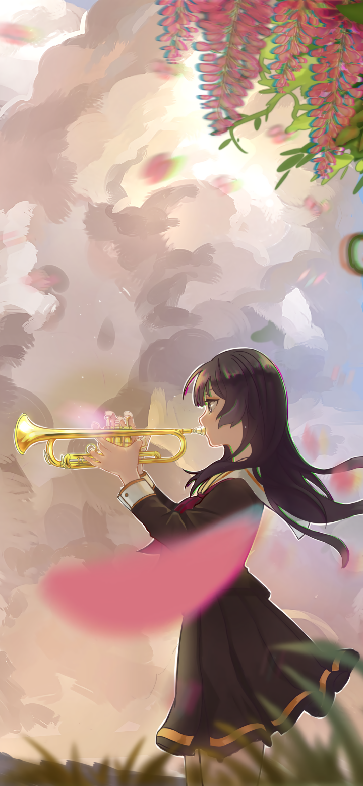 720x1560  hibike Euphonium обои телефона - 1440x2560 Обои - Teahub.io 