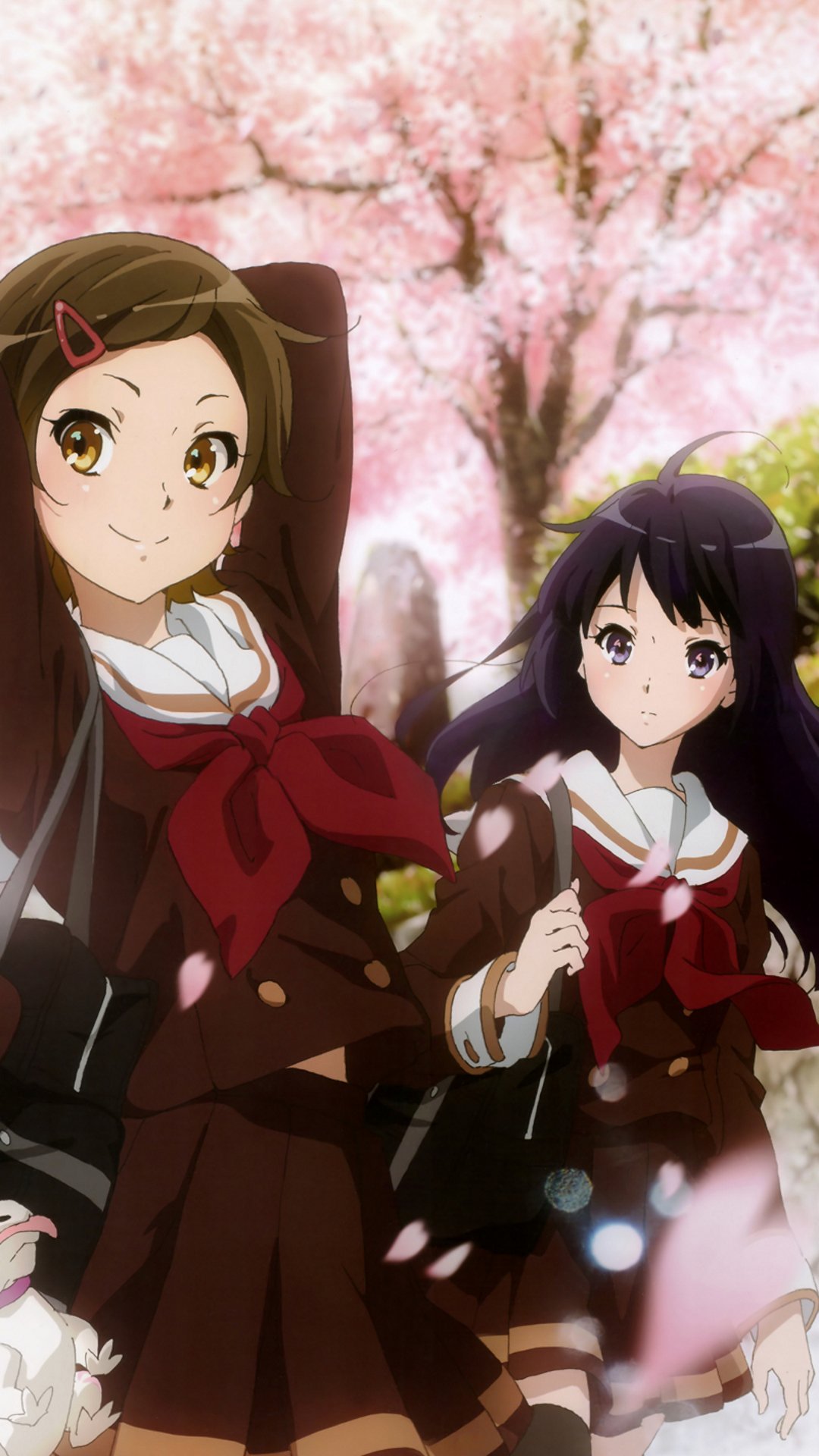 1080x1920  wallpaper: Anime Girls, Sound Euphonium, Nakagawa natsuki, Yoshikawa Yuuko, официантка, чулки, длинные волосы, брюнетка, фиолетовые глаза, зеленые глаза, Hibike euphonium 1102x1560 - Микрокосмос - 1369939 - HD Wallpaper - Wallhere