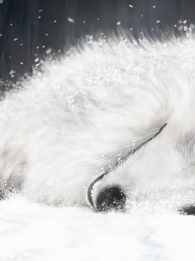 768x1024  free скачать Wolf Rain Wallpaper Wolfs Rain Anime HD Wallpapers Desktop [1920x1200] для вашего рабочего стола, Mobile \ U0026 Tablet | Исследуйте 46+ 1080p Wolf Wallpaper | Wolf Desktop Walpapers, HD Wolf Wallpapers, бесплатный 