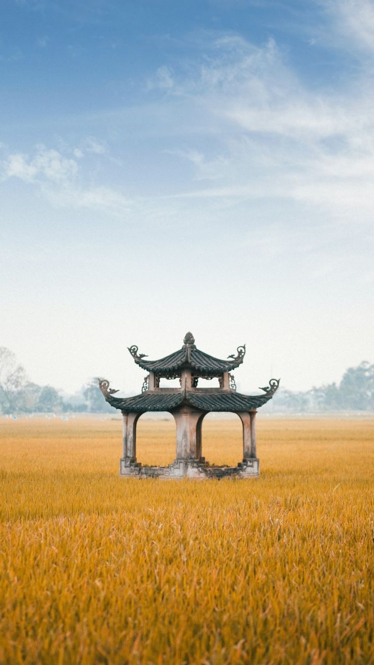 736x1308  HD Lost Place Облы | PEACKPX