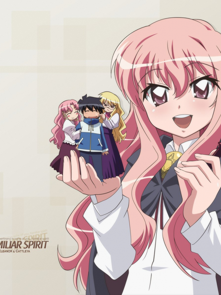 768x1024   Zero No Tsukaima DVD Vol. 2 - Zero No Tsukaima Photo (3951331) - Fanpop