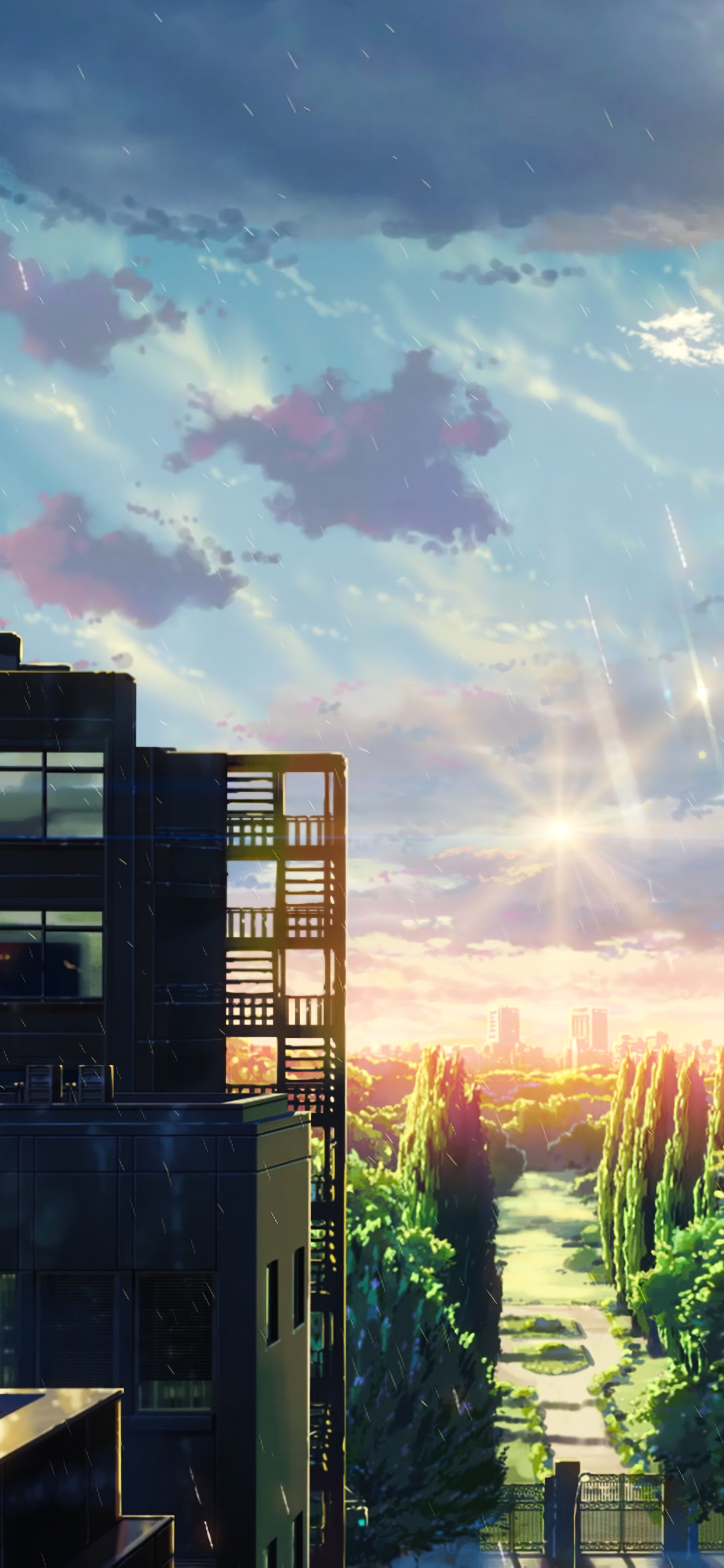 1242x2688  garden слов Обои HD, опубликованные Кристофером Джонсоном. Сад слов Обои для iPhone и Android от Steven Lee