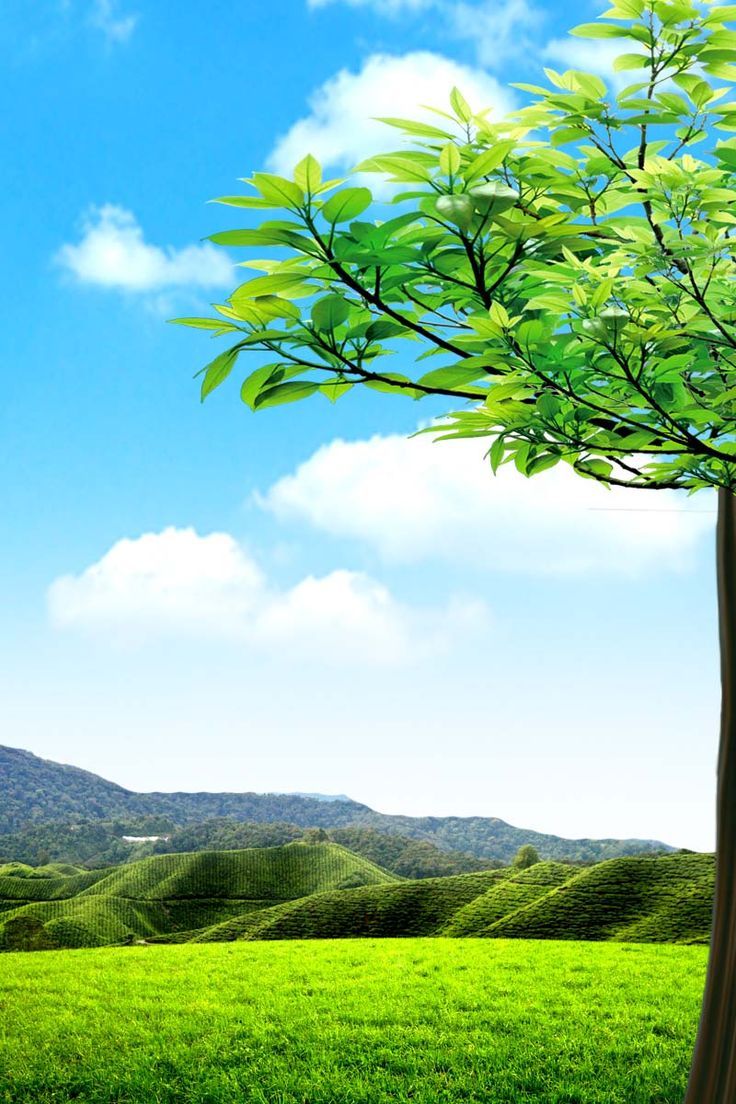 736x1104  pin на экране Savers