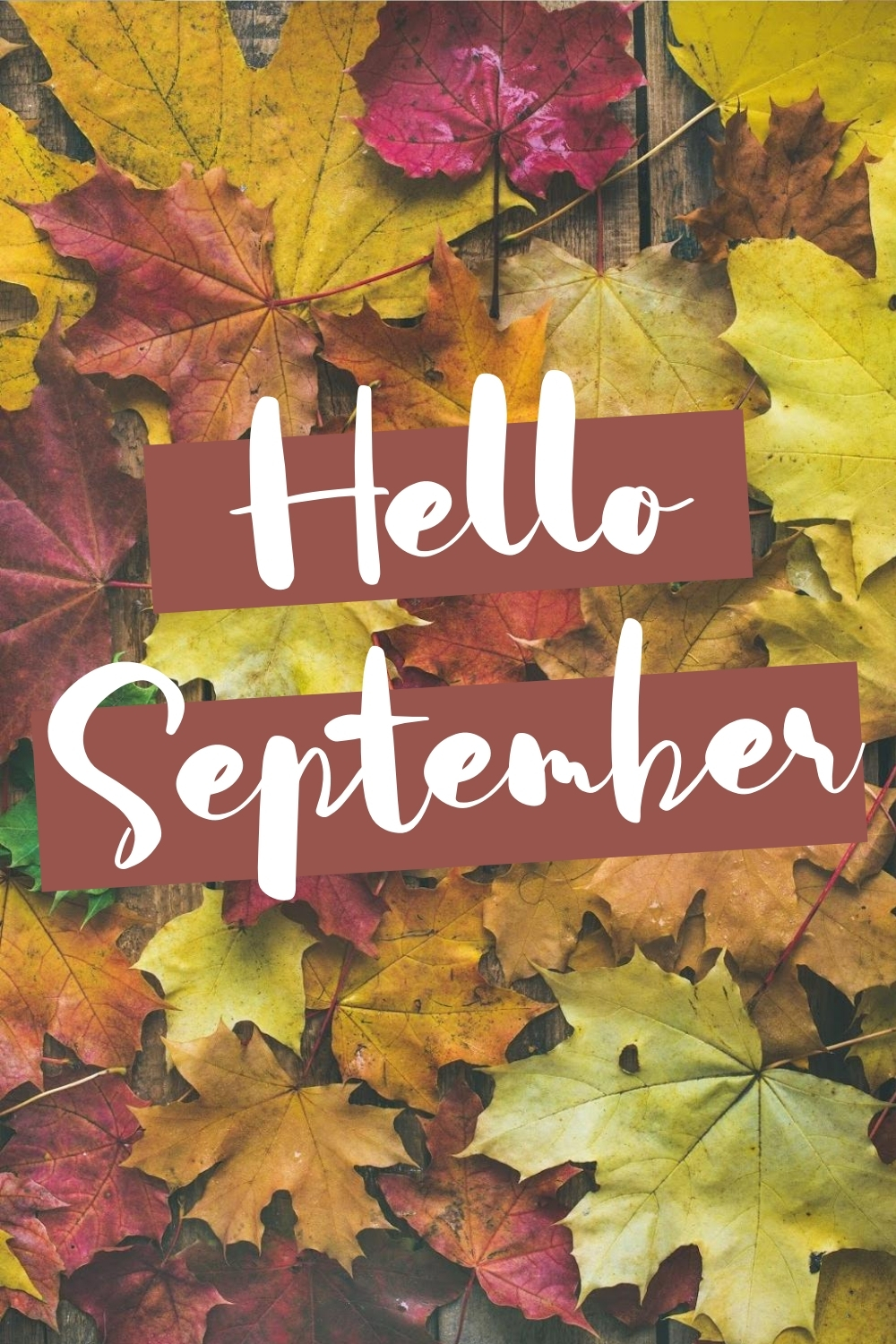 1000x1500   51+] Сентябрь обои на обои на обои на обоях на обоях, обои, обои Facebook - Top Sember Facebook - WalpaperAccess