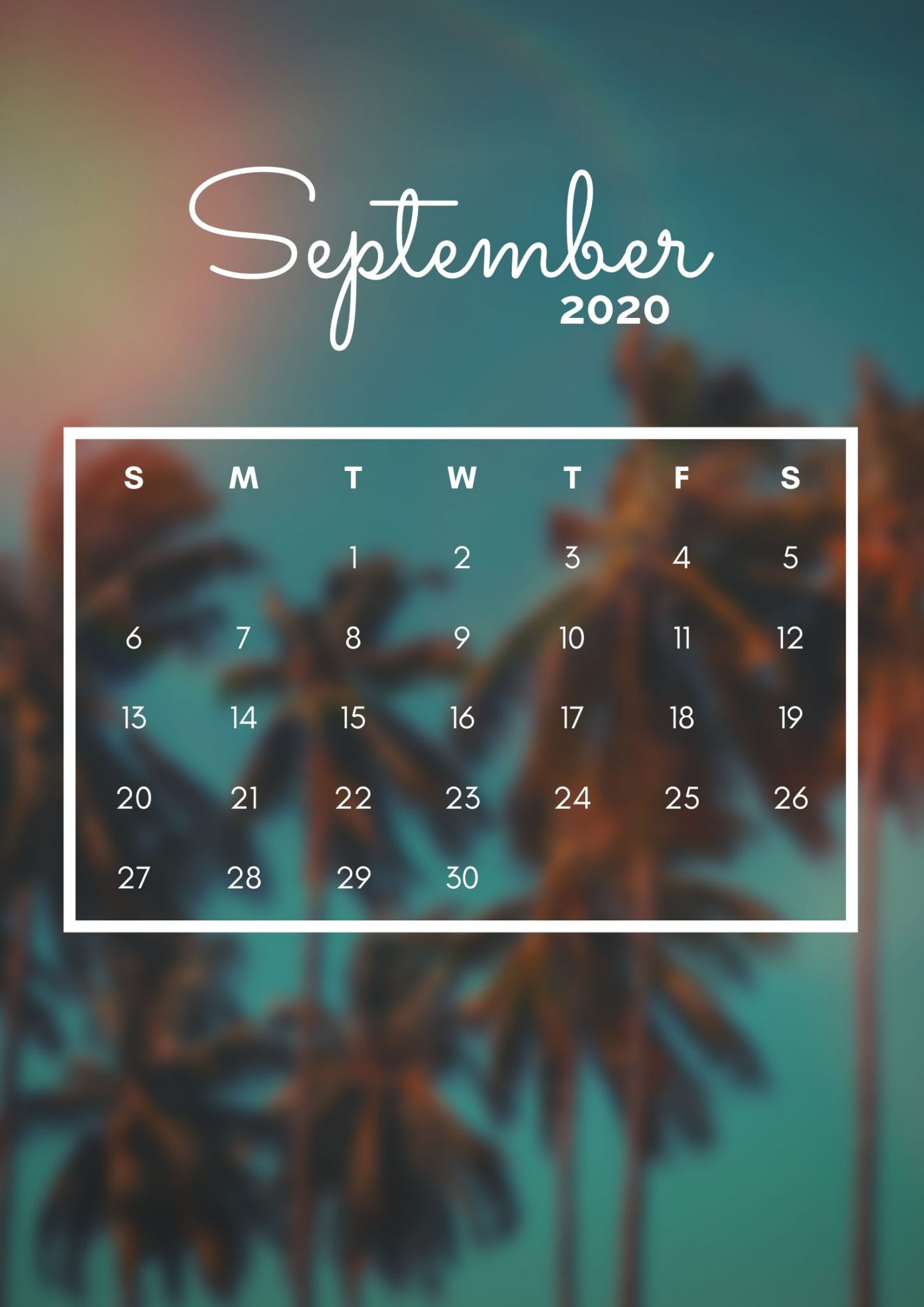 1448x2048   51+] Сентябрь обои на обои на обоие. Исследуйте 51+ сентября обои | Сентябрьские обои, сентябрьские обои 2015, сентябрьский фон обоевРозовые листья блеск, ноябрь, октябрь, Pravokrug, сентябрь, осень, осенний, HD Телефон Обои | Peakpx