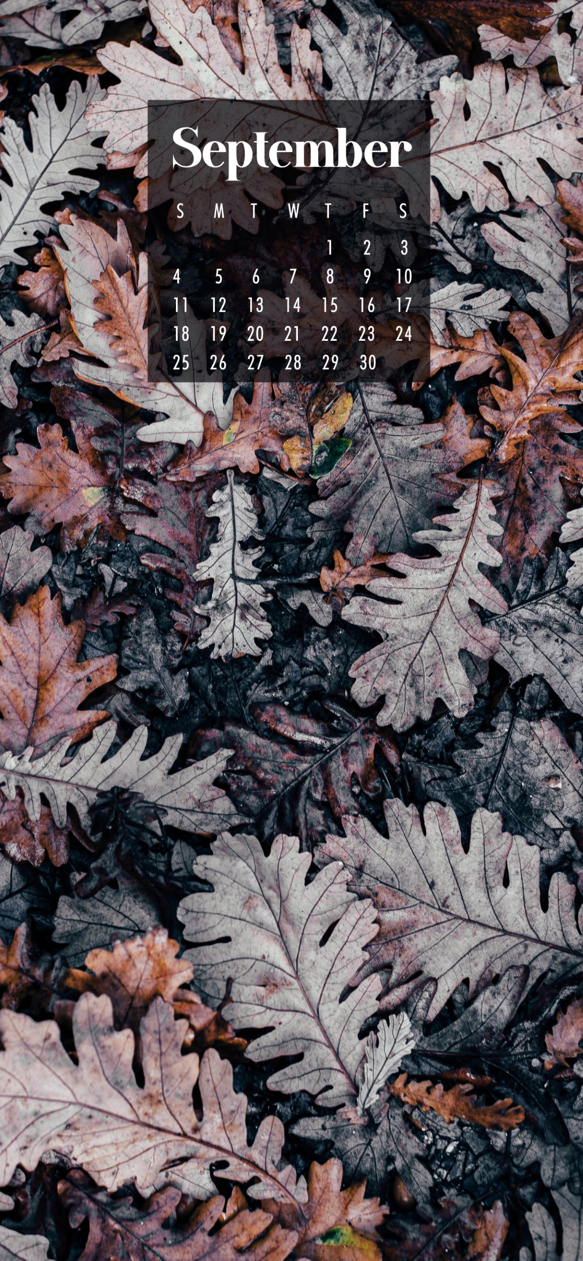 1170x2531   September Wallpapers на обоях ulaper wallpapers uumn for uumn for uumn for uumn for uumn wablepapers wablepapers ulumpapers wablepapers uld wablepapers. Исследуйте 47+ сентября Sensavers и обои | Обои для настольных компьютеров, обоев и экранов Microsoft, 