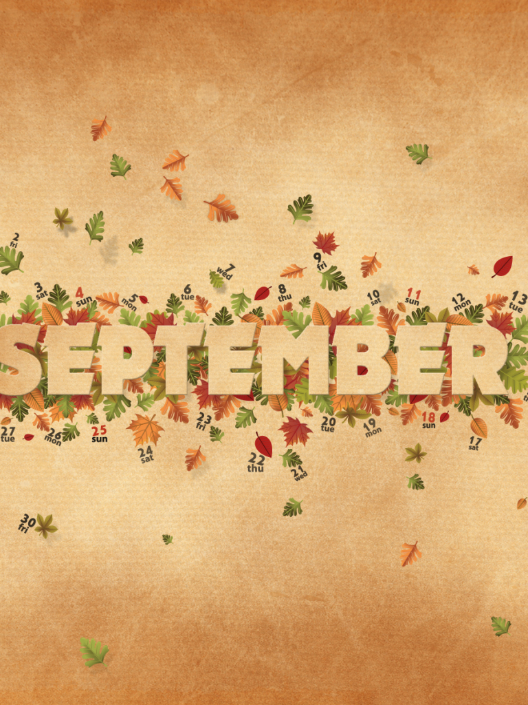 768x1024   Сентябрь дождь 1080p, 2k, 4K, 5K HD Обои бесплатно скачать | Обои Flare