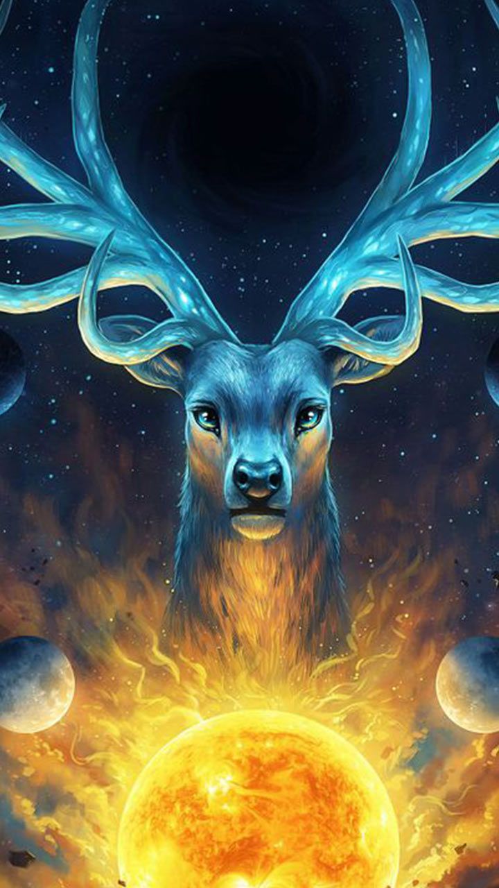 720x1280  Amazing Wallpapers: бесплатно HD Download [500+ HQ] | Unsplash 