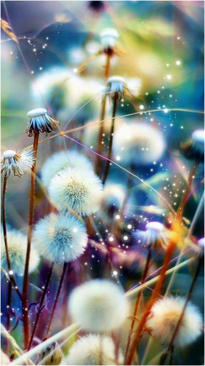 720x1280  free Downlappers HD Amazing Daypper Wallpapers HD Amazing Desktop