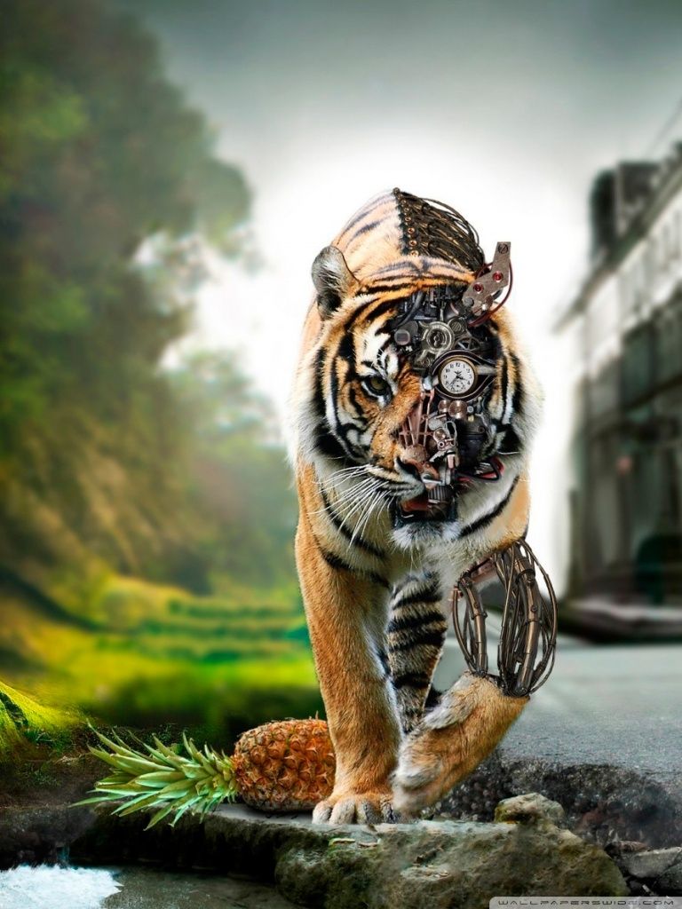 768x1024  Amazing Mobile Wallpapers - Top Free Amazing Mobile Founds - WallpaperAccess