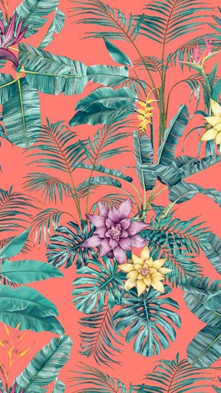 720x1280   ̇ndie обои - Enwallpaper