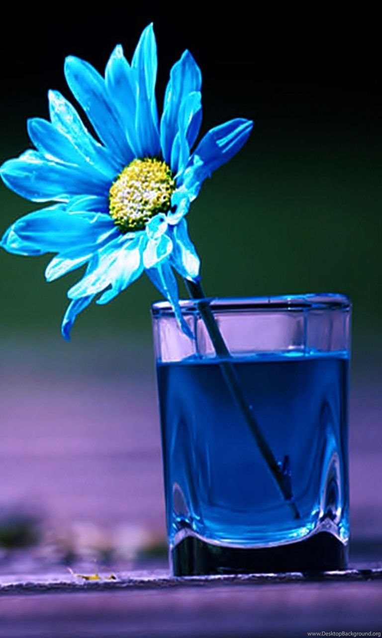 768x1280   74+] Красивые обои картинки на обои на обоях. Мобильные, настольные обои 